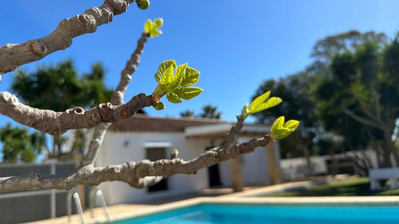 Vivienda Rural Atlantico Sur & Familias Guest House Conil De La Frontera Exterior photo