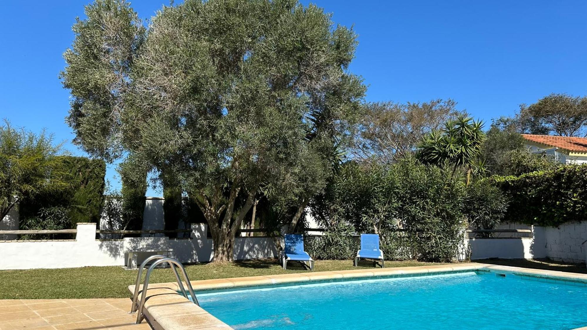 Vivienda Rural Atlantico Sur & Familias Guest House Conil De La Frontera Exterior photo