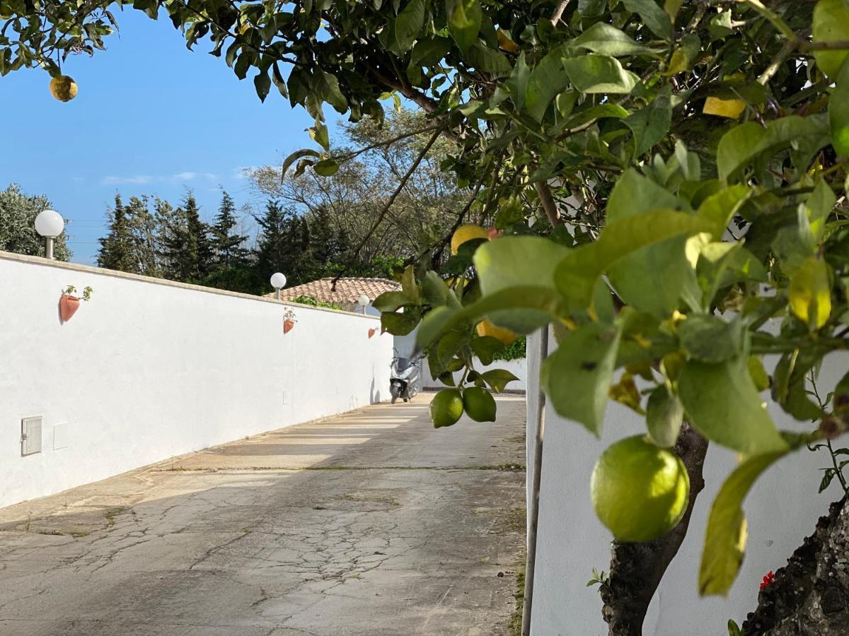 Vivienda Rural Atlantico Sur & Familias Guest House Conil De La Frontera Exterior photo